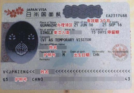 解析與探討