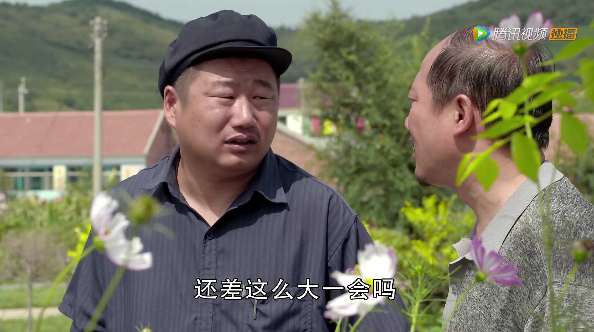 鄉(xiāng)村愛情8，情感交織的田園畫卷，鄉(xiāng)村愛情8，情感交織的田園生活浪漫篇章