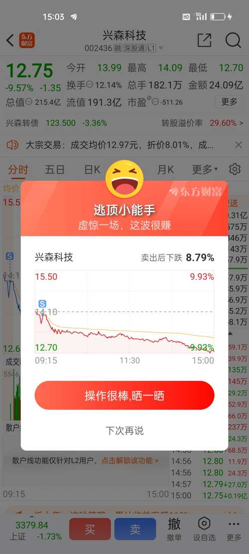 興森科技（股票代碼，002436）股票股吧深度解析，興森科技（股票代碼，002436）深度解析與股吧熱議