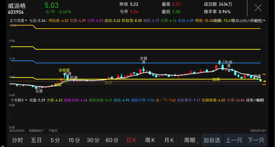 探索603956股吧的獨(dú)特魅力與價(jià)值，揭秘603956股吧的獨(dú)特魅力與投資價(jià)值
