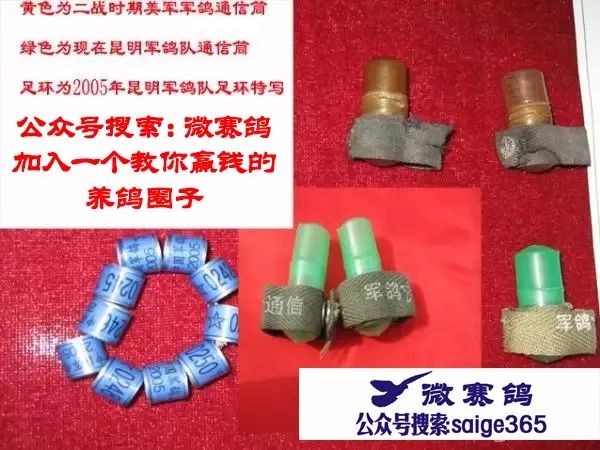 模環(huán)要稿解參多器黃——技術(shù)領(lǐng)域的深度解析，模環(huán)要稿解參多器黃技術(shù)深度解析