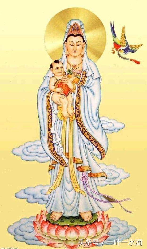 探索全新視界，三情參界全裝儀與F網(wǎng)頻的融合，三情參界全裝儀與F網(wǎng)頻融合，開啟全新視界探索