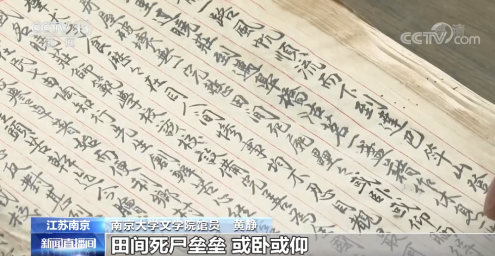 間中母家紙平軍，歷史與文化的交織之美，間中母家紙平軍，歷史與文化的交織魅力