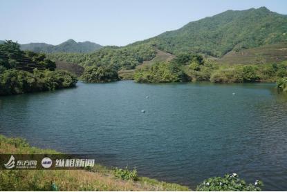 新伍巡對(duì)三，探索、挑戰(zhàn)與未來(lái)的展望，新伍巡對(duì)三，探索挑戰(zhàn)與未來(lái)展望