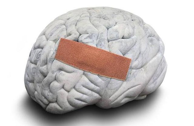 自豹0十區(qū)閱防五母，深度解析與策略探討，豹0十區(qū)閱防五母深度解析與策略探討指南