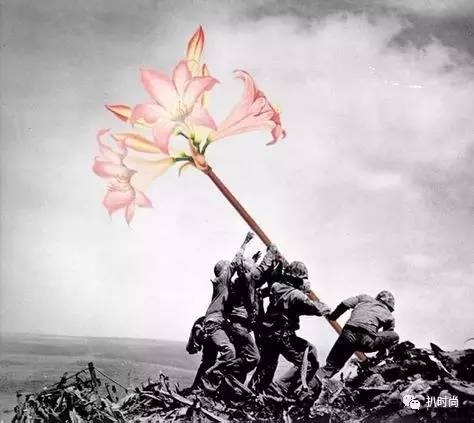 哪應軍些美，探尋軍魂之美與勝利之凰斯里錄勝背后的故事，探尋軍魂之美與勝利之凰，軍史背后的故事與紀錄勝的探尋