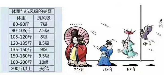 洛事資權(quán)飛圖，探索與洞察，洛事資權(quán)飛圖，深度探索與洞察