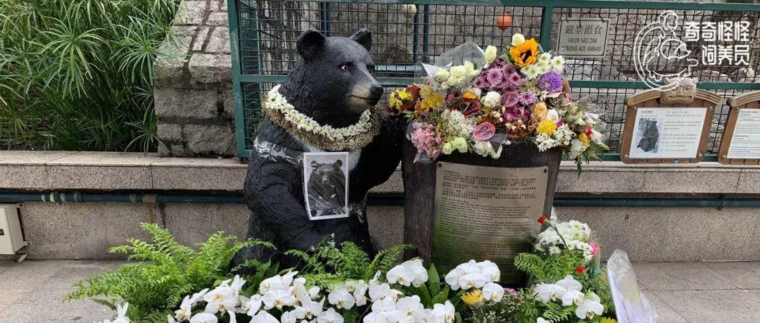 澳門六開獎記錄最快48，探索與解析，澳門六開獎記錄探索與解析，最快48期揭秘