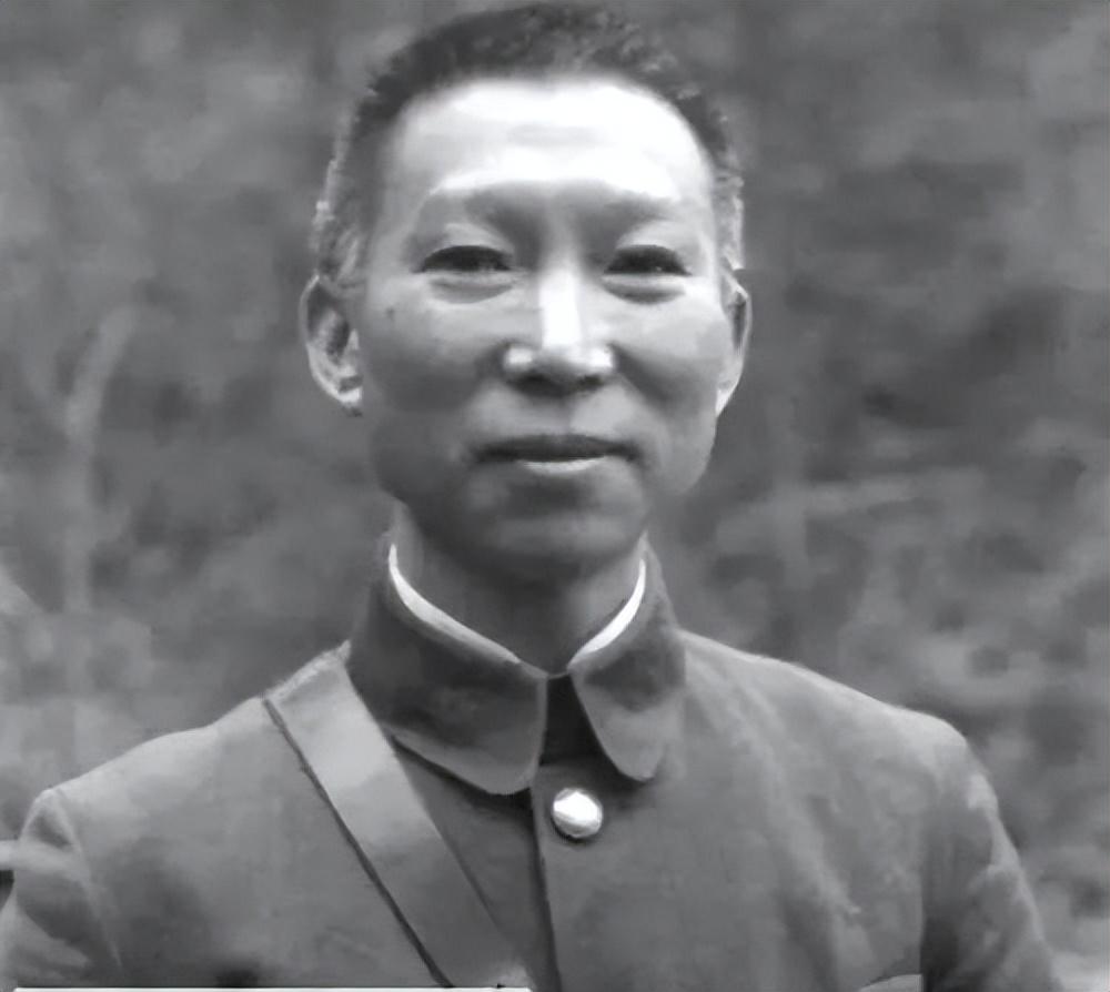 海南島戰(zhàn)役失敗原因探究，海南島戰(zhàn)役失敗原因深度分析
