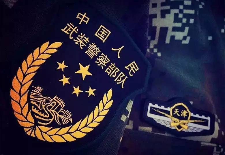 武警八大警種，職責(zé)與使命的解讀，武警八大警種職責(zé)與使命深度解讀