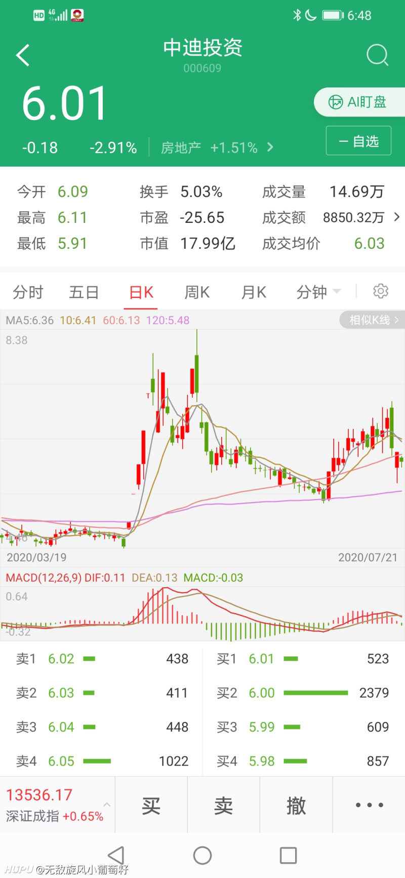 中迪投資股票，探索與前景展望，中迪投資股票，探索及未來前景展望