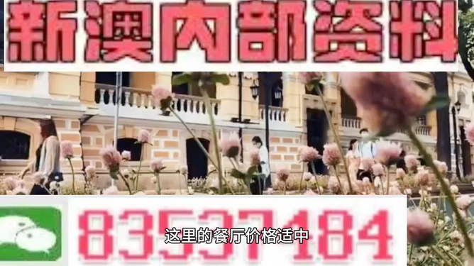 新澳門精準資料大全與管家婆料，探索與解讀，澳門精準資料大全與管家婆料，深度解讀與探索