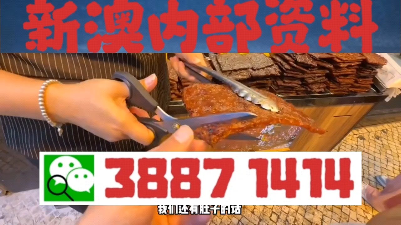 澳門一肖三碼必中特，探索與揭秘，澳門一肖三碼必中特，揭秘與探索的奧秘