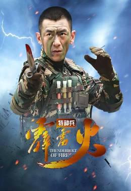 我是特種兵之霹靂火，烈火中的英雄情懷，特種兵之霹靂火，烈火英雄的英雄情懷