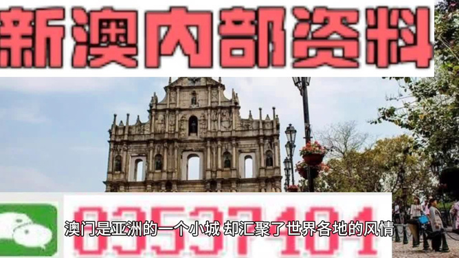 澳門精準(zhǔn)四不像，探索與解析（2025展望），澳門精準(zhǔn)四不像解析與未來展望（2025年展望）