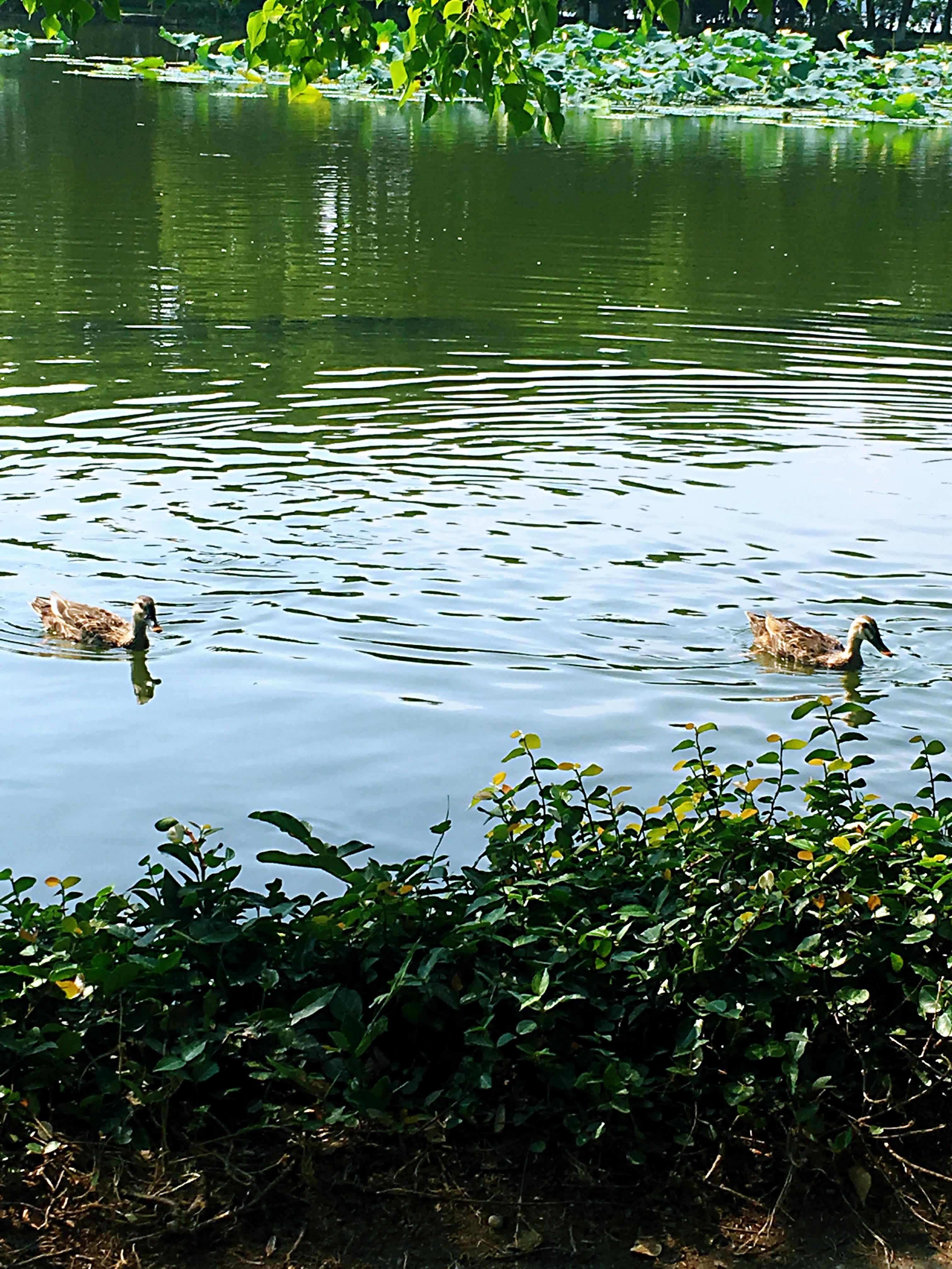 夏季旅游好去處國內(nèi)，國內(nèi)夏季旅游好去處推薦