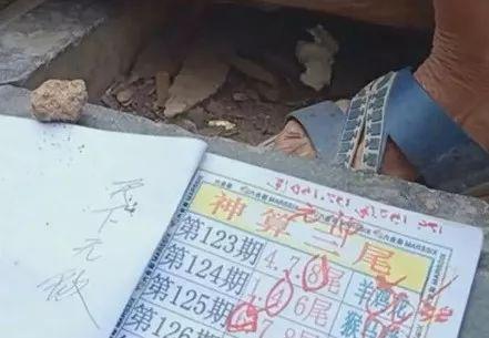 關于六開彩天天免費資料大全的探討與解析，六開彩天天免費資料大全深度解析與探討