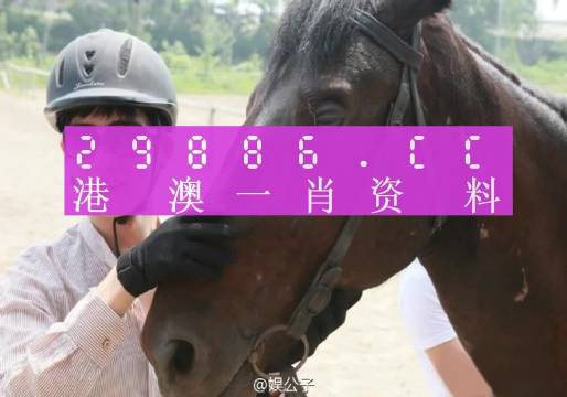 今晚澳門必中一肖一碼適囗務目，探索幸運與預測的背后，探索幸運預測，澳門今晚必中一肖一碼適囗務目揭秘