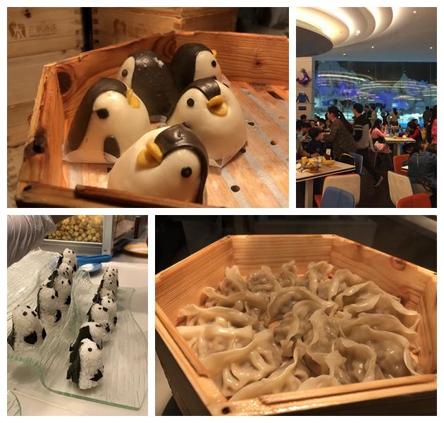 珠海長隆海洋樂園四人家庭套票，一次難忘的海洋探險(xiǎn)之旅，珠海長隆海洋樂園四人家庭套票，難忘的海洋探險(xiǎn)之旅體驗(yàn)