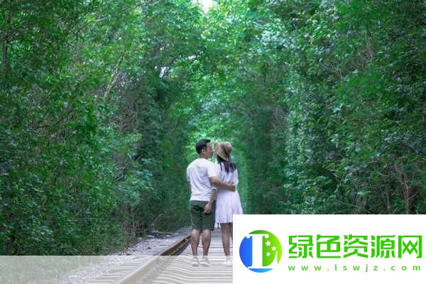 最美情侶的中國字幕視頻，情感與文化的交融之美，最美情侶字幕視頻，情感與文化交融的絕美展現(xiàn)