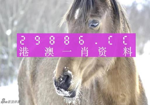 澳碼精準(zhǔn)預(yù)測，揭秘最準(zhǔn)確的一肖一碼彩票秘訣，澳碼精準(zhǔn)預(yù)測揭秘彩票秘訣，一肖一碼最準(zhǔn)確預(yù)測技巧