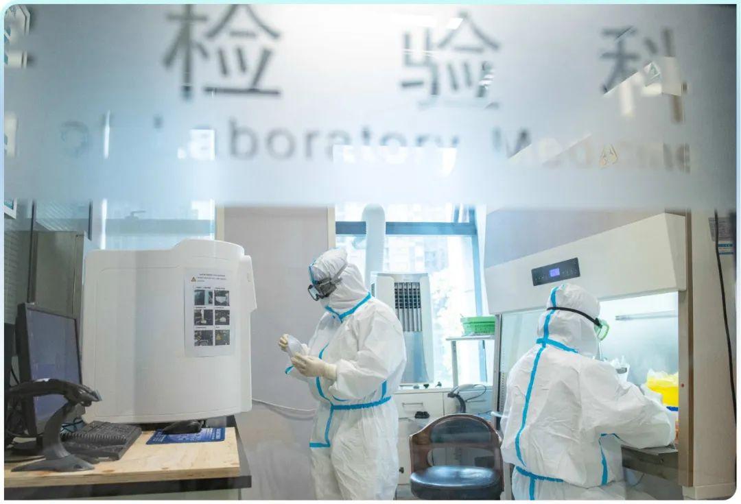 張珊珊到底是誰(shuí)？，揭秘張珊珊身份背景，究竟是誰(shuí)？