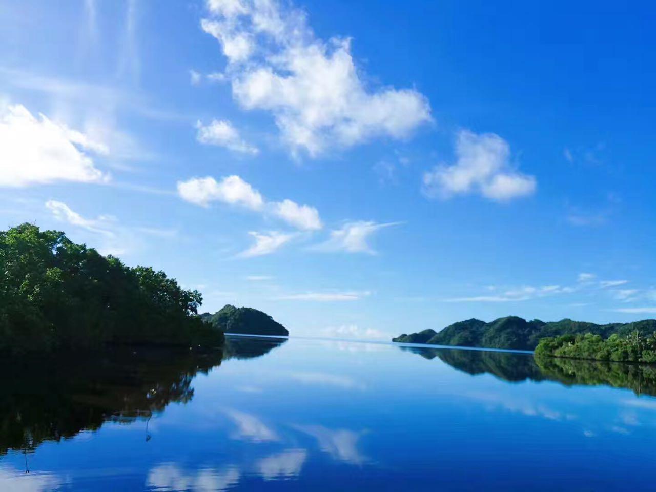 澳門美人魚最快開獎(jiǎng)結(jié)果圖及其背后的故事，澳門美人魚開獎(jiǎng)結(jié)果圖與背后的故事揭秘