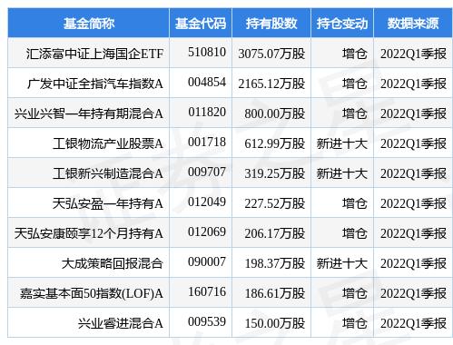 匯添富美麗30基金凈值，解析與洞察，匯添富美麗30基金凈值深度解析與洞察