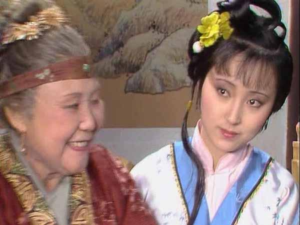 管家婆正版管家的全面解析，管家婆正版管家的全面解析與功能概覽