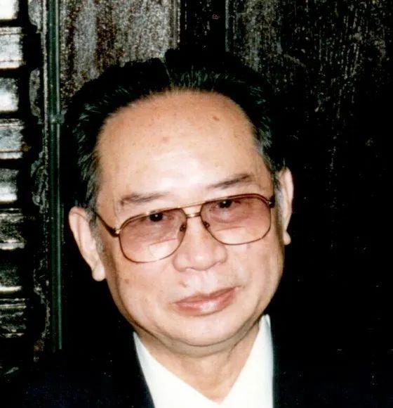 魅力與深度探索
