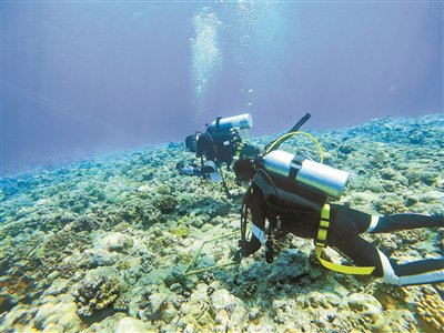 黃巖島所在海域，豐富的生態(tài)與重要的戰(zhàn)略地位，黃巖島海域，生態(tài)豐富與戰(zhàn)略地位的重要性