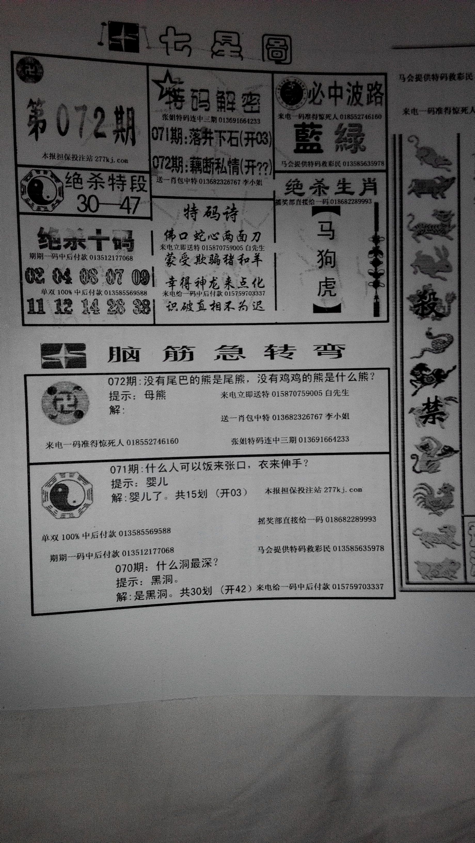 王中王132期指一生肖——探尋背后的神秘與魅力，王中王132期生肖背后的神秘魅力探尋