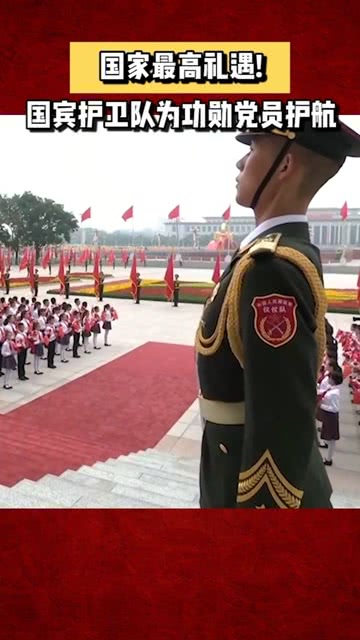 國賓護衛(wèi)章，榮譽的象征與精神的傳承，國賓護衛(wèi)章，榮譽與精神的傳承標志
