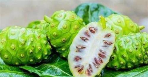 澳門最快開獎(jiǎng)與水果奶奶的故事，澳門開獎(jiǎng)速度與水果奶奶的傳奇故事