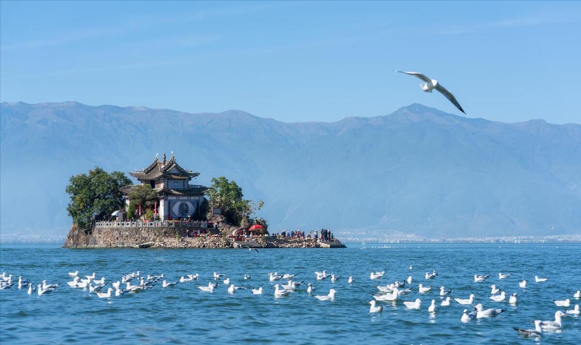 2024年11月可能發(fā)生沖突的國家，戰(zhàn)爭背后的復(fù)雜因素與全球關(guān)注，全球關(guān)注焦點(diǎn)，2024年11月潛在沖突國家與戰(zhàn)爭背后的復(fù)雜因素
