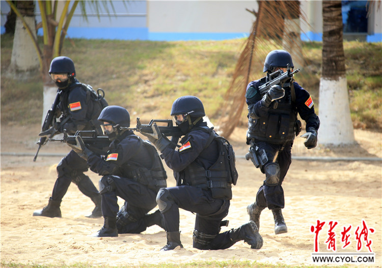 揭秘蛟龍突擊隊(duì)所屬軍種，揭秘蛟龍突擊隊(duì)所屬軍種，神秘特種部隊(duì)探秘