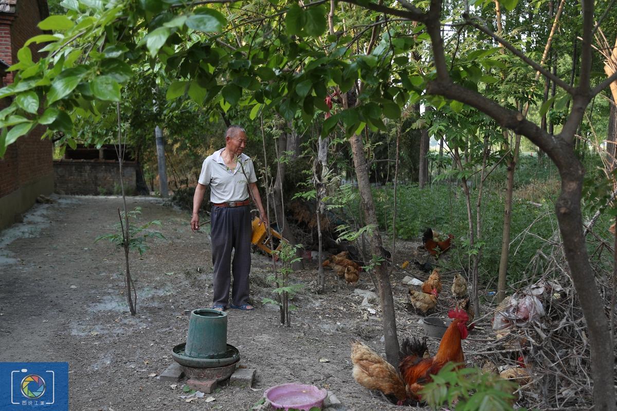 重慶816核基地，歷史、現(xiàn)狀及其重要性，重慶816核基地，歷史、現(xiàn)狀與重要性探究