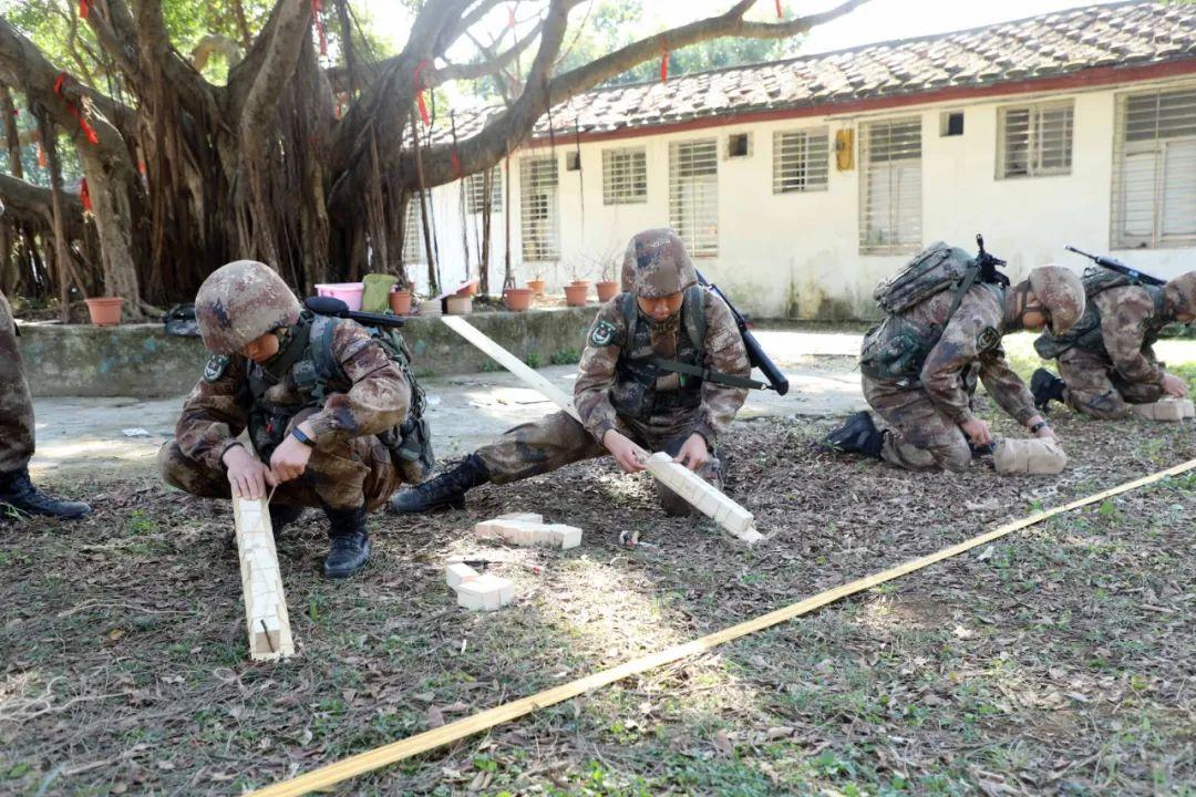 新兵三個(gè)月考核標(biāo)準(zhǔn)，塑造優(yōu)秀軍事人才的基石，新兵三個(gè)月考核標(biāo)準(zhǔn)，塑造軍事優(yōu)秀人才的堅(jiān)實(shí)基礎(chǔ)