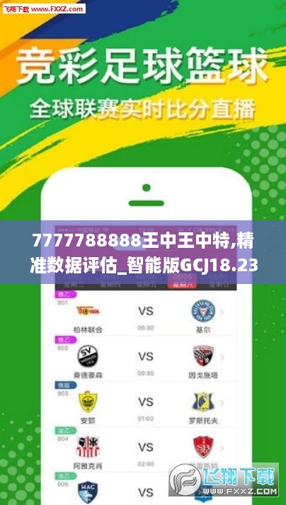 王中王30期指一生肖——探尋生肖文化中的奧秘與魅力，探尋生肖文化中的奧秘與魅力——王中王30期指一生肖