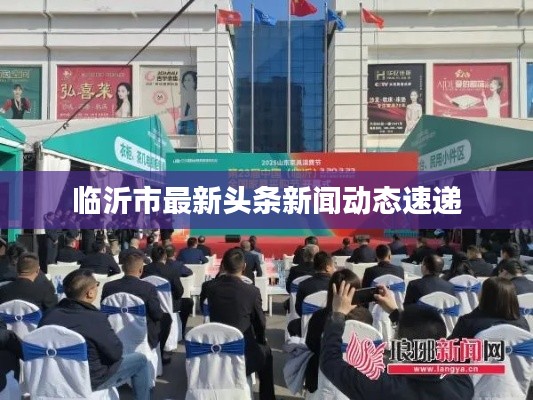 臨沂今日頭條，探尋城市新脈動，臨沂今日頭條，探尋城市新脈動，展現(xiàn)發(fā)展活力