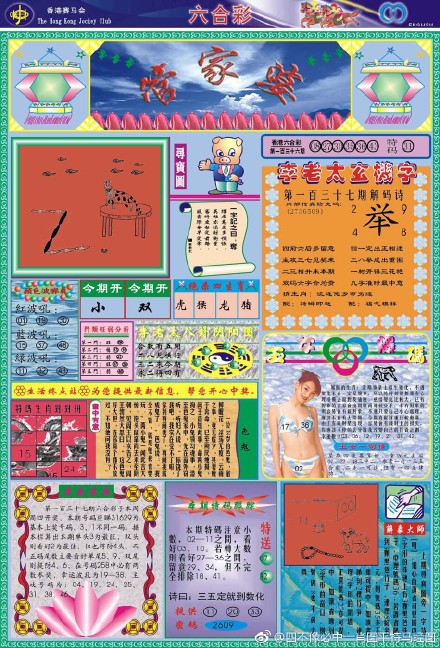 王中王論壇一肖平特圖，深度探討與解析，王中王論壇一肖平特圖深度解析研討會(huì)