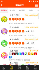 探索域名WWW背后的故事，王中王平特一肖的神秘面紗與數(shù)字世界的啟示，揭秘WWW背后的故事，王中王平特一肖的數(shù)字世界之謎與啟示
