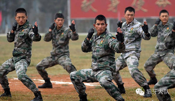 中國陸軍獵人集訓(xùn)隊(duì)，鍛造精銳之師的錘煉之旅，中國陸軍獵人集訓(xùn)隊(duì)，鍛造精銳之旅