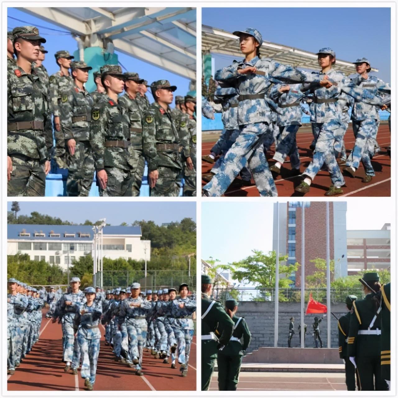 中央軍事頻道在2020年的表現(xiàn)與影響，中央軍事頻道在2020年的表現(xiàn)及其影響力分析