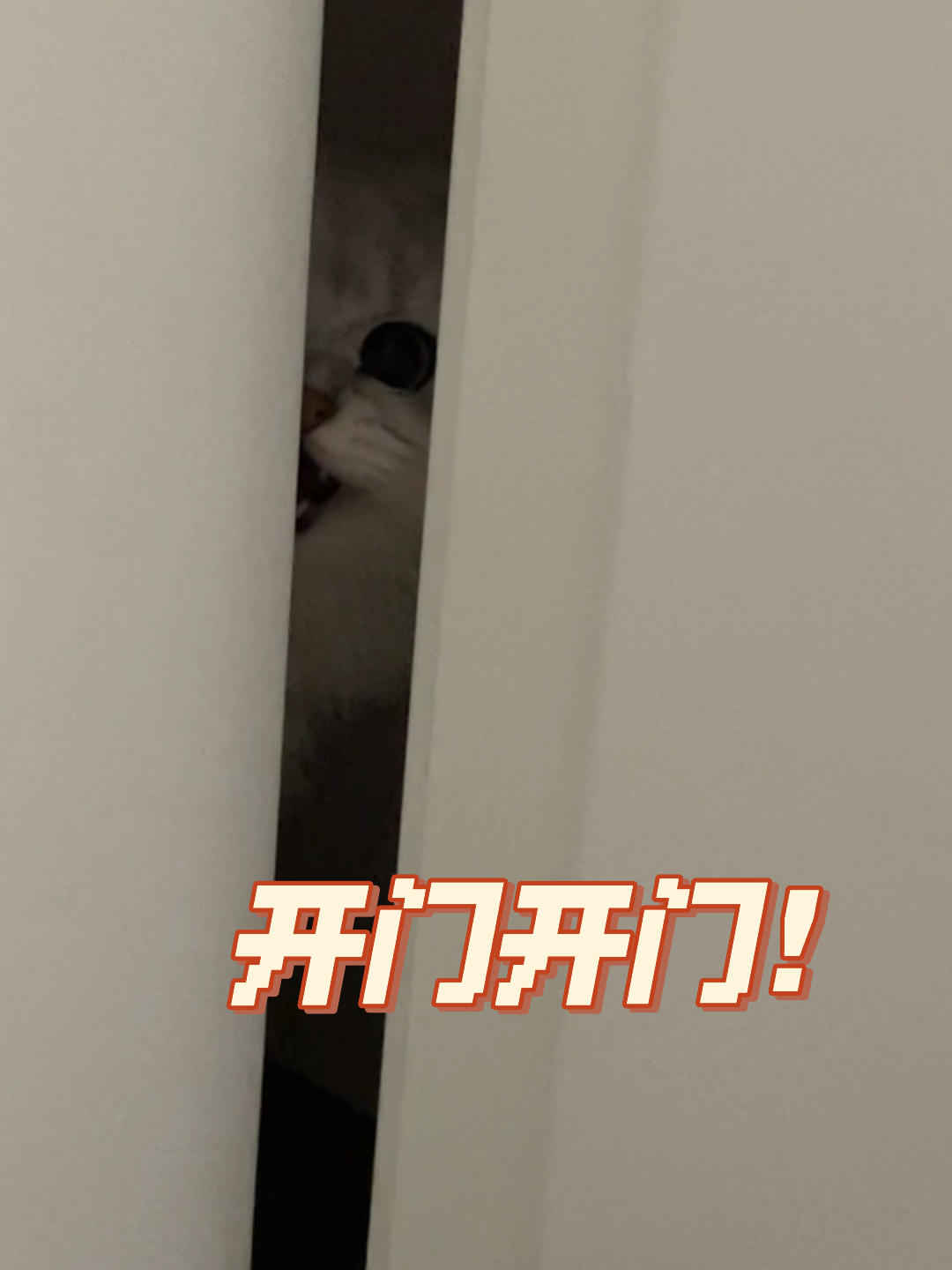 今天大佬也不想開門，城市生活的節(jié)奏與人的情感波動(dòng)，城市節(jié)奏下的情感波動(dòng)，今日大佬也不欲開門