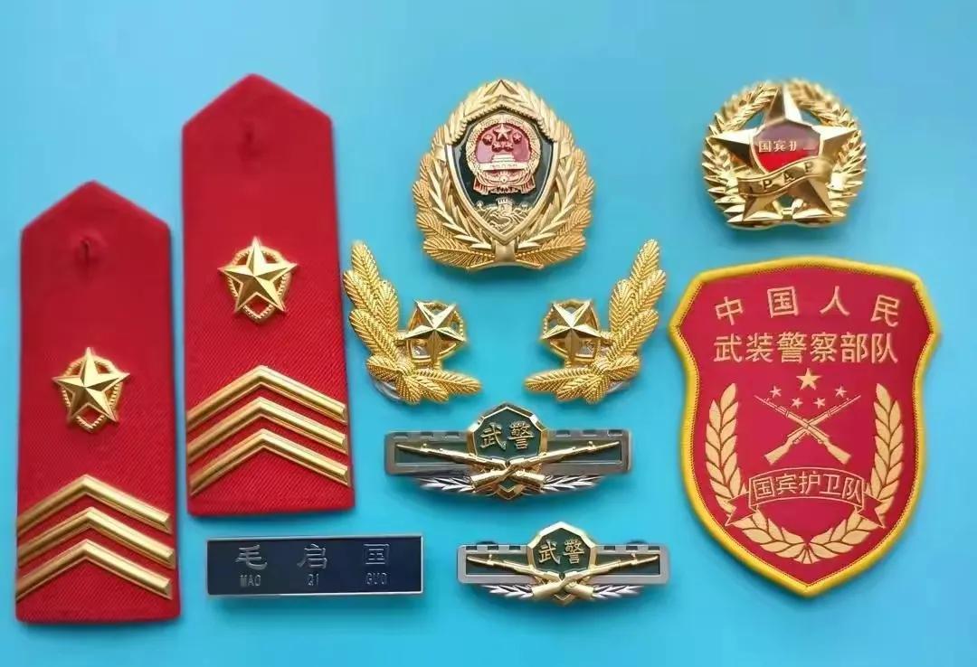 國賓護(hù)衛(wèi)隊禮服肩章，榮耀的象征與職責(zé)的彰顯，國賓護(hù)衛(wèi)隊禮服肩章，榮耀與職責(zé)的彰顯