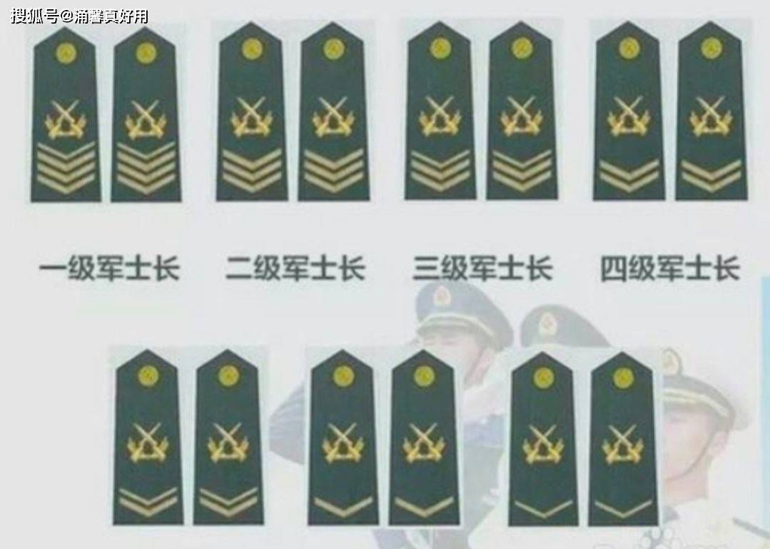 七級士官軍銜，榮譽(yù)與責(zé)任的象征，七級士官軍銜，榮譽(yù)與責(zé)任的標(biāo)志