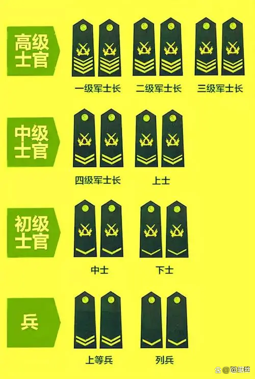 義務(wù)兵兵種種類及其職責(zé)特點(diǎn)，義務(wù)兵兵種種類與職責(zé)特點(diǎn)概述