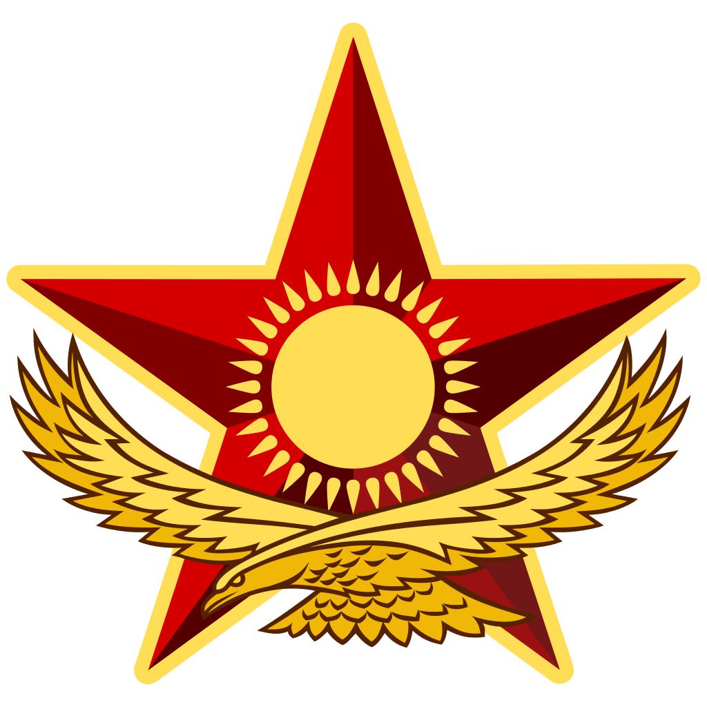 中國(guó)軍隊(duì)，強(qiáng)大的實(shí)力與輝煌的歷程，中國(guó)軍隊(duì)，實(shí)力強(qiáng)大與輝煌歷程的見證