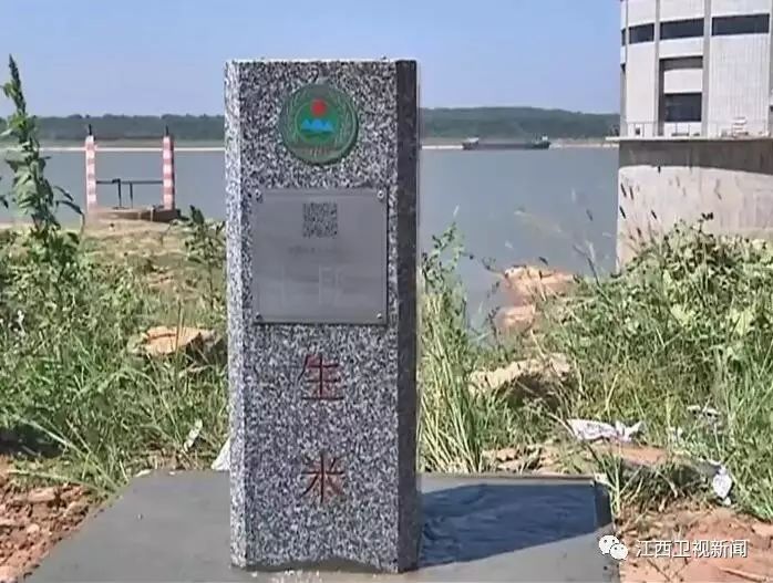 樊孝俊，時代先鋒，引領(lǐng)未來的卓越力量，樊孝俊，時代先鋒，引領(lǐng)卓越未來之力
